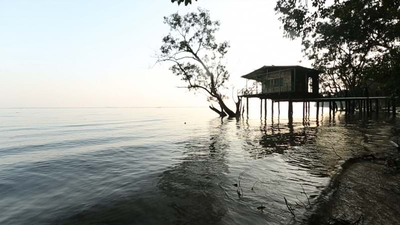 Dudhwa National Park